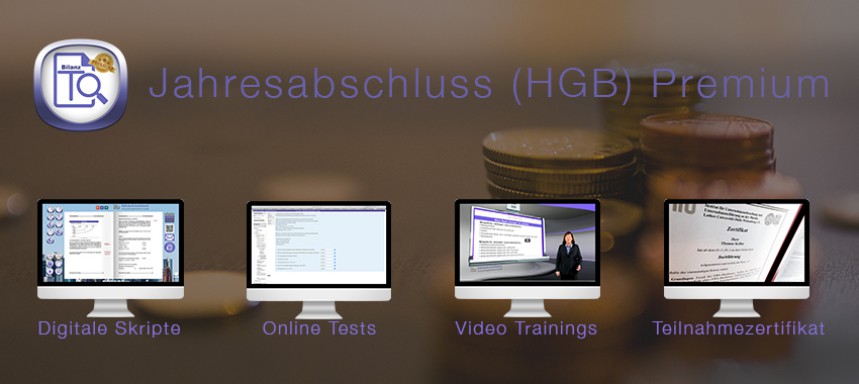 Jahresabschluss (HGB) Premium